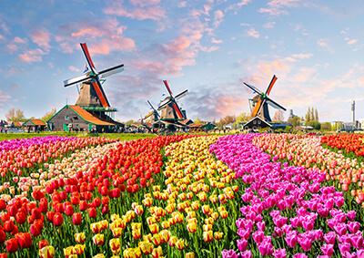 Tulipánok országa, Hollandia